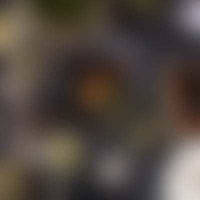 portfolio img